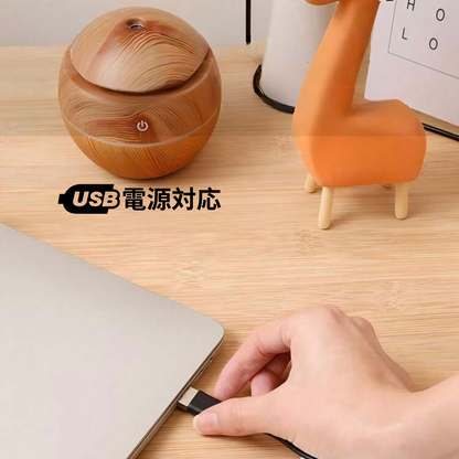 AtatakaMist™ アタタカミスト【USB加湿器・アロマ対応】